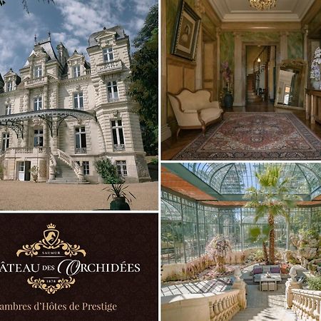 Chambres d'hôtes Château Les Orchidées SAUMUR Saumur Exterior foto