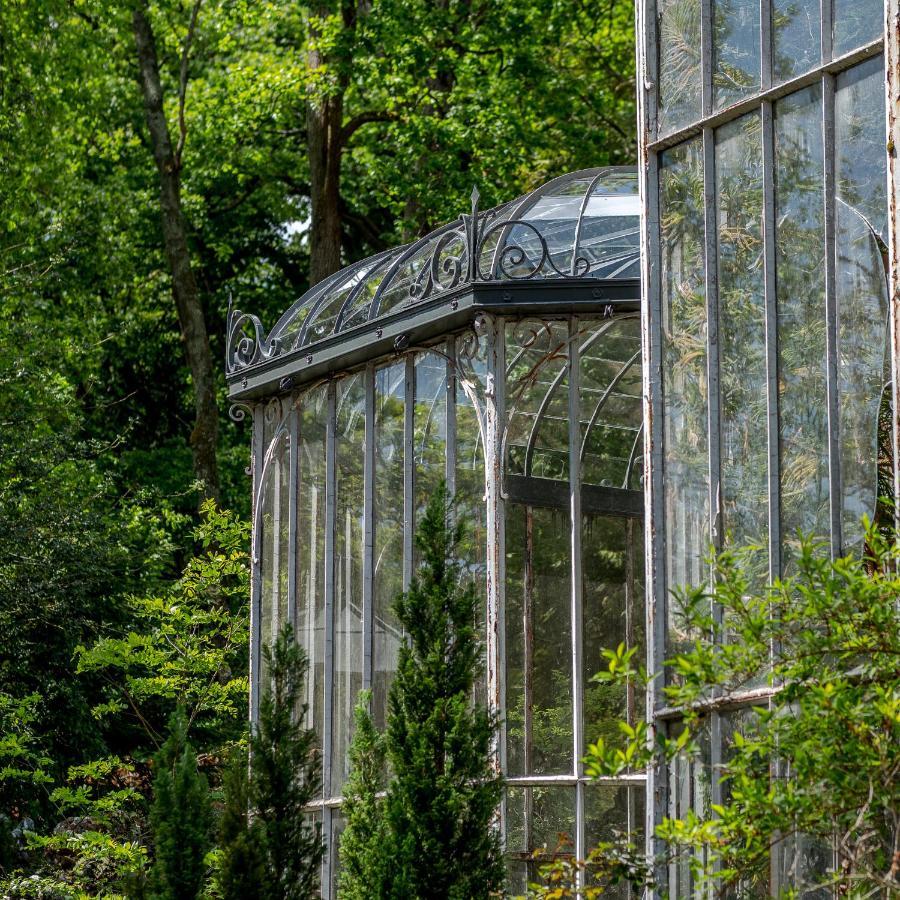 Chambres d'hôtes Château Les Orchidées SAUMUR Saumur Exterior foto