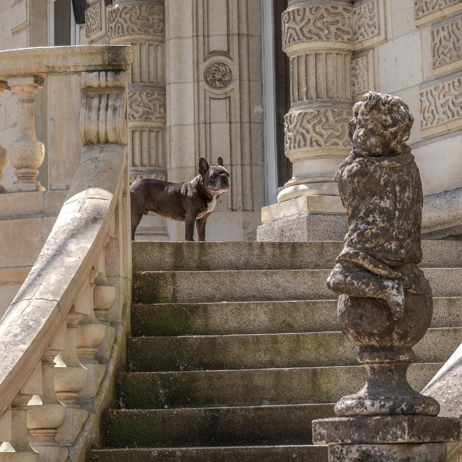 Chambres d'hôtes Château Les Orchidées SAUMUR Saumur Exterior foto