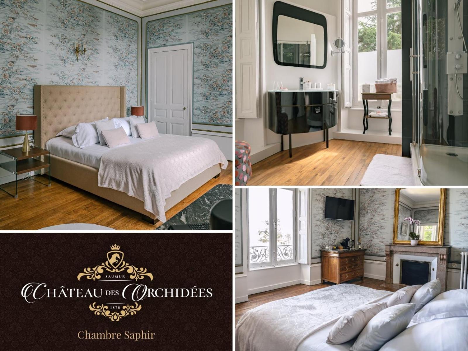Chambres d'hôtes Château Les Orchidées SAUMUR Saumur Exterior foto