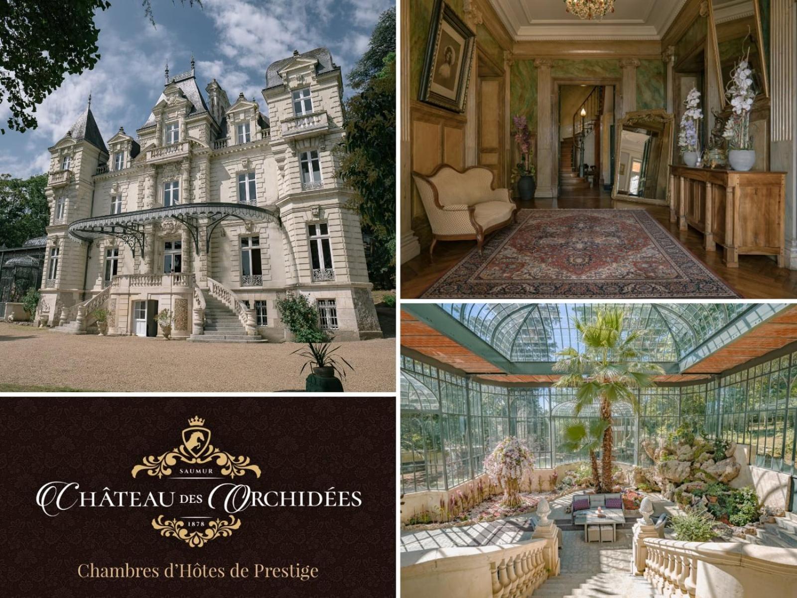 Chambres d'hôtes Château Les Orchidées SAUMUR Saumur Exterior foto
