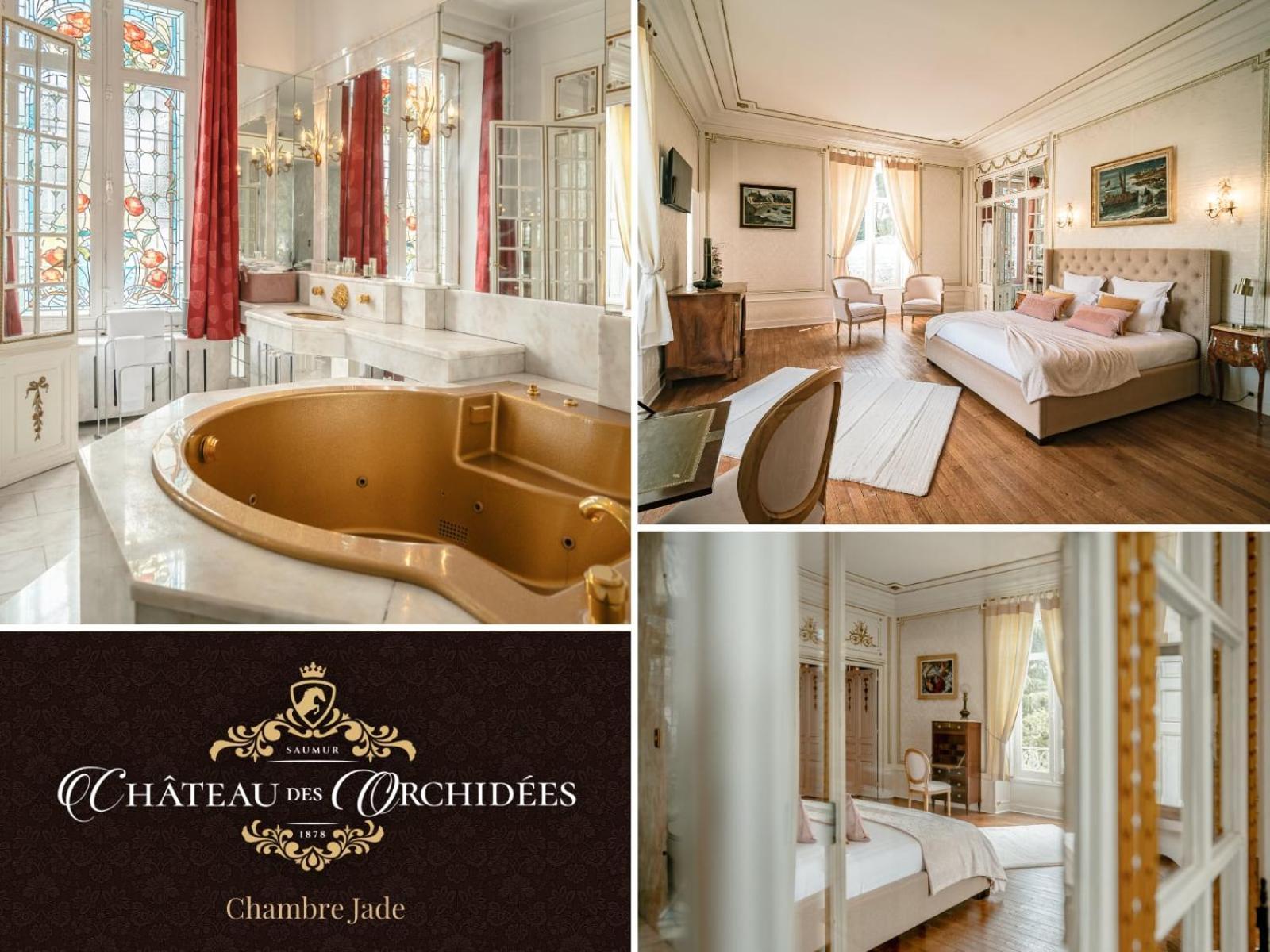 Chambres d'hôtes Château Les Orchidées SAUMUR Saumur Exterior foto