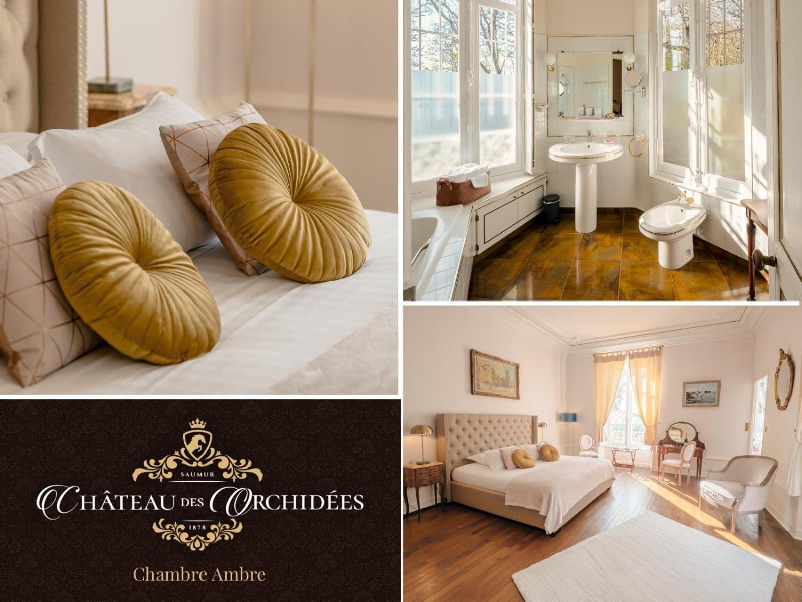 Chambres d'hôtes Château Les Orchidées SAUMUR Saumur Exterior foto